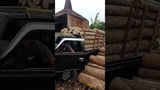 Download lagu siap bongkar kayu sengon di pabrik trisplek #l300 #bermuatan #kayu mp3