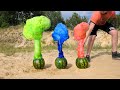 EXPERIMENT Watermelon Volcanoes Coca Cola Vs 7up Vs Fanta Vs Watermelons And Mentos