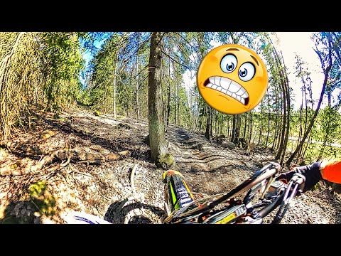 It doesn't get closer than this! 😳 😱🌲