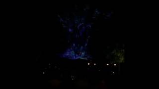 Tree of Life Awakening at Disney's Animal Kingdom