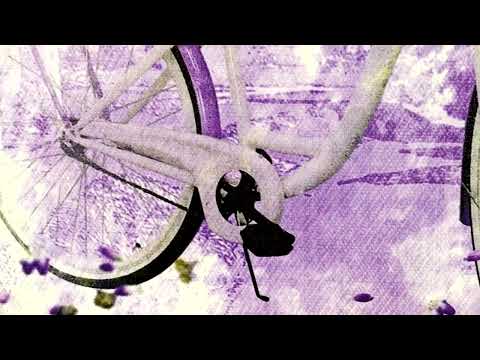 Миниатюра изображения товара Картина Декарт Лаванда в корзине  8Л2739 (в раме)