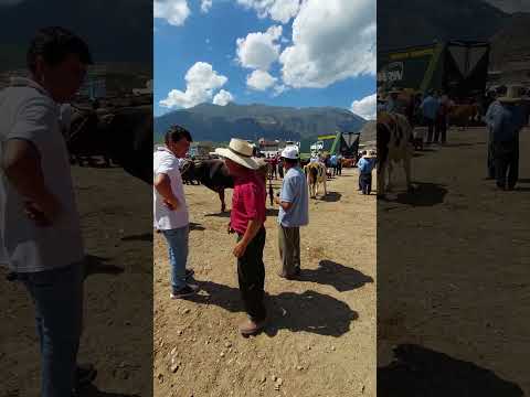 Plaza Pecuaria de San Marcos, Cajamarca 🇵🇪 (Noviembre 2022)
