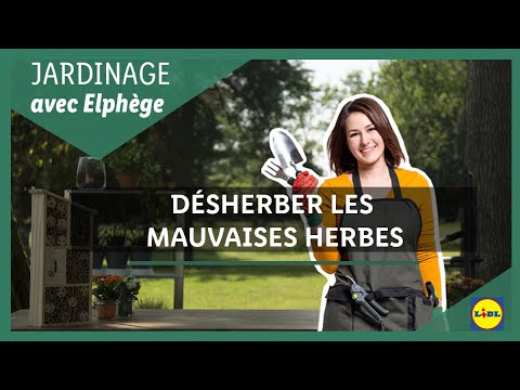 , title : 'Jardinage 🪴 | Les conseils et équipements pour le désherbage avec Elphège | Lidl France'