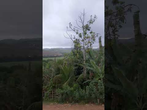 paisagem linda Amaraji Pernambuco