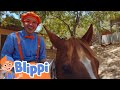 Danny S Farm Blippi Kids Songs Moonbug Kids