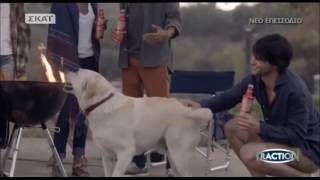 Ασφαλής Οδήγηση Χωρίς Αλκοόλ