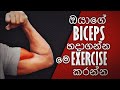 ලොකු Biceps හදාගන්න! | Bicep Training tips & Common Mistakes