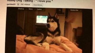 Need Music? #6 DuduTheSon - "Third Creek" Out now