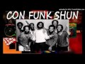Confunkshun - Da Lady