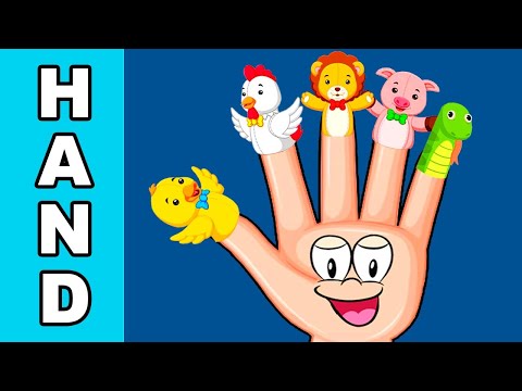 ✅ Las partes de la mano en inglés | Parts of the hand 🖐 👌 🤙 👍 Video