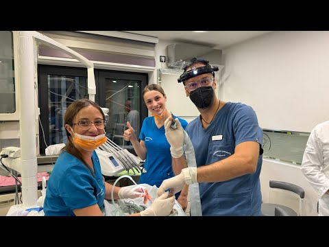 Video 1