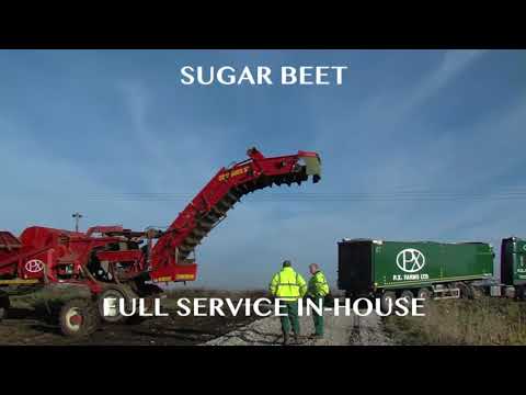P X  Farms Sugar Beet Harvest 2018