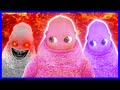 The Weird World Of Boohbah