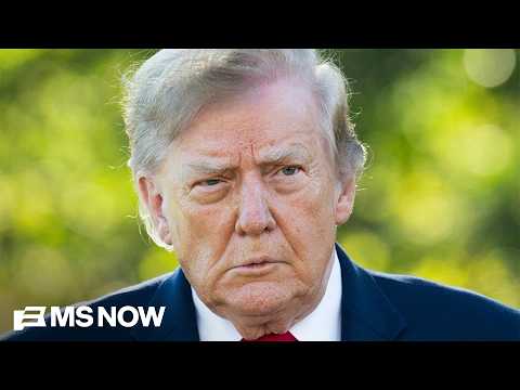 ALERT: Judge FIGHTS BACK against Trump's voter intimidation as ARMED MEN from DHS show up at homes