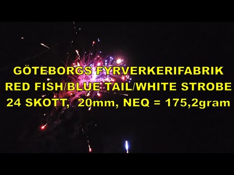Provar fyrverkeri GFF, Red Fish Blue tail white strobe från Göteborgs fyrverkerifabrik #fyrverkeri