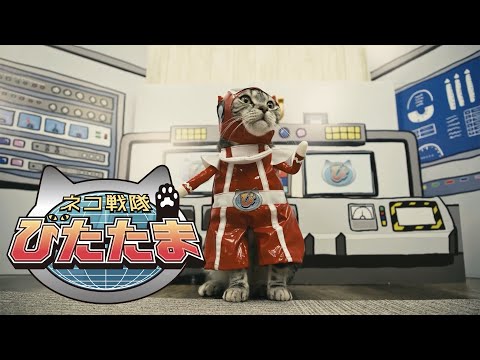 PV
