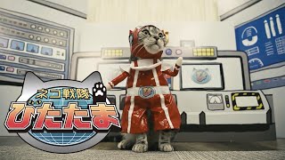 PV