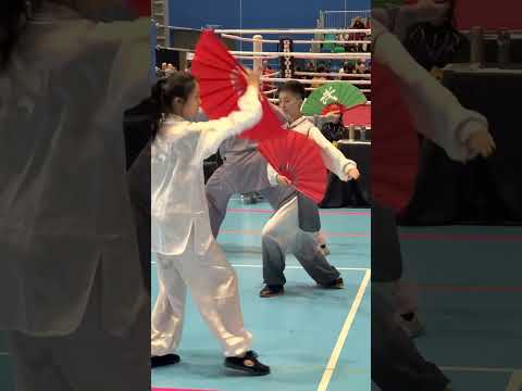 Chen-Style Tai Chi Fan 24 Form back view