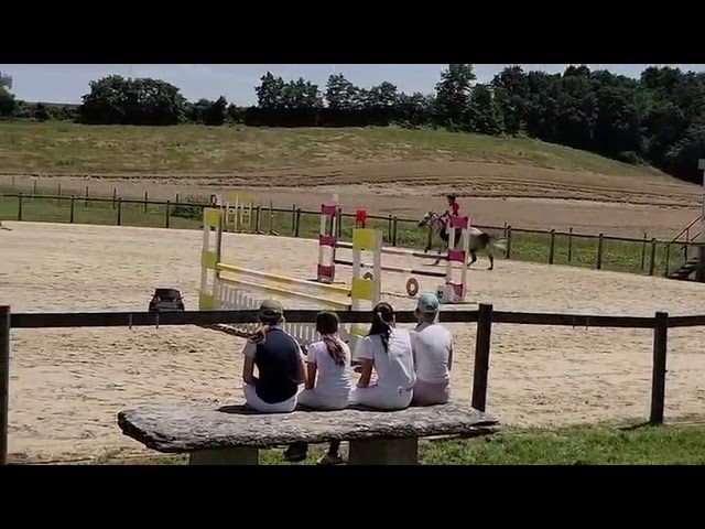 Ponette D 7 ans - pour AS2