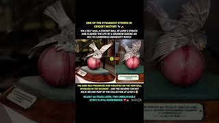ONE OF THE STRANGEST STORIES IN CRICKET HISTORY 🐦🏏 #cricket #shorts #c