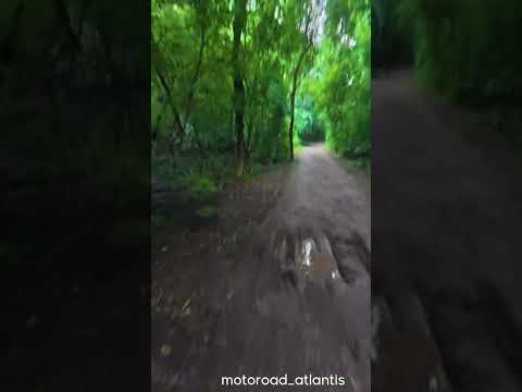 Parque Nacional Calilegua  -Jujuy -Argentina