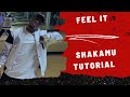 FEEL- DAVIDO | How  to do the SHAKAMU DANCE