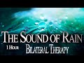 Bilateral Therapy * Rain * Nature Sounds - Release Stress, PTSD, Anxiety - EMDR, Brainspotting