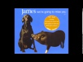James - We're Going To Miss You [Eno's Version]