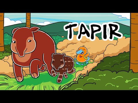 Hola Flinko - Tapir / Capítulo 22 Completo Temporada 1