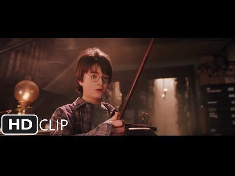 Harry Gets His Wand | Harry Potter and the Sorcerer's Stone