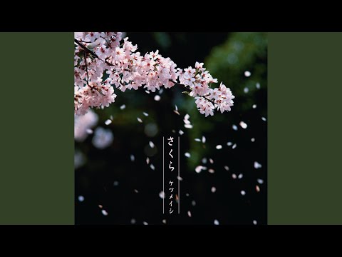 さくら のサムネイル