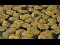 Thainess The Original Way Of Making Coconut Sugar