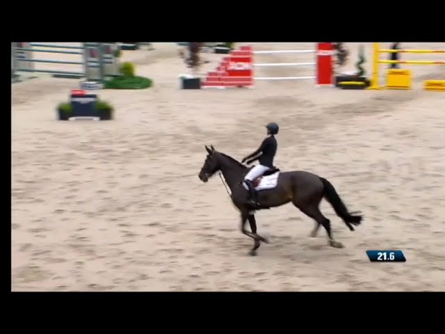 Jelvinia @ show