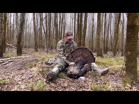 Mississippi gobbler down. First turkey hunt of 2021.
