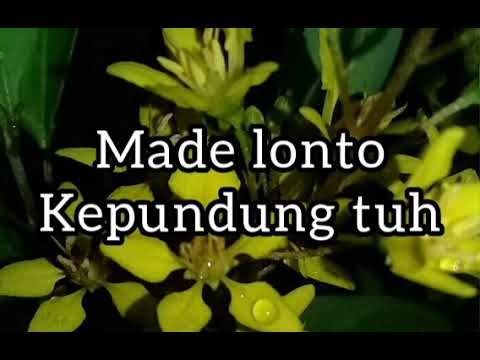 Tembang lawas bali Made lonto Kepundung tuh (lirik lagu bali)