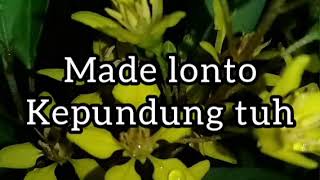 Download lagu Tembang lawas bali Made lonto Kepundung tuh (lirik lagu bali) mp3