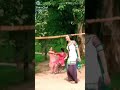 Kya Dil Ne KahA