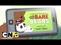 Wat Beren Leren ♫ Themaliedje ♫ Cartoon Network