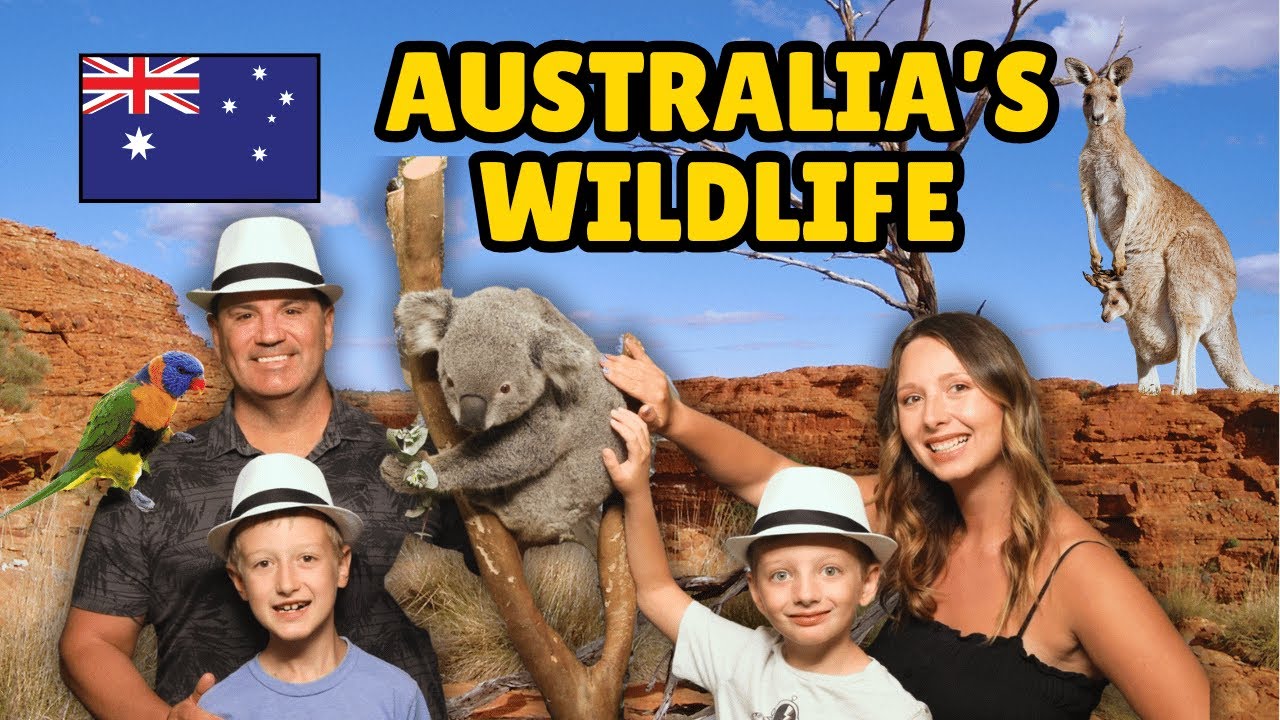 Join a family on captivating visit to Featherdale Sydney Wildlife Park.