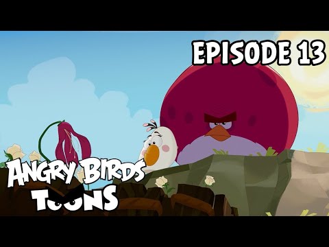 Angry Birds Toons S1 - Gardening with Terence (Ep #13)