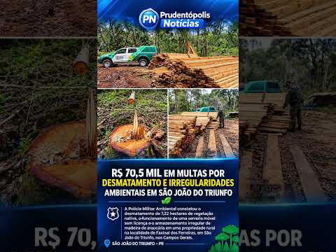 Desmatamento ilegal é São João do Triunfo Paraná gera mais de 70 mil reais em multas