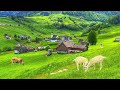 Life In Switzerland Countryside Rural Life In The Most Beautiful Swiss Villages Relaxing Walk