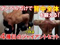 【筋トレ】11㎏のダンベルで背中がパンパンに!4種目のジャイアントセットで広背筋、僧帽筋、大円筋を追い込みました