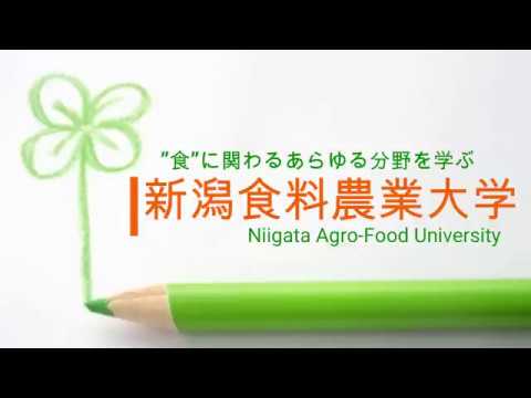 【オープンキャンパスダイジェスト】2017.12.16 大学説明会