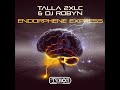 DJ Robyn & Talla 2XLC - Endorphene Express (Extended Mix) Trance 2023