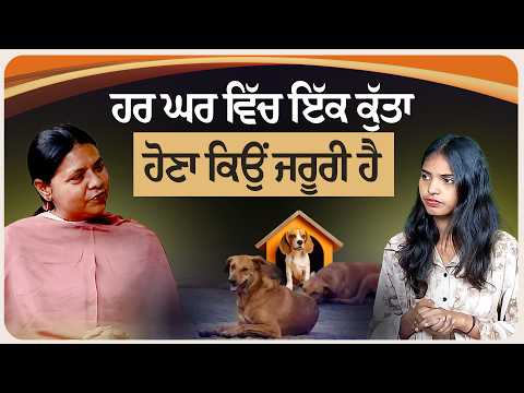 ਹਰ ਘਰ ਵਿੱਚ ਇੱਕ ਕੁੱਤਾ ਹੋਣਾ ਕਿਉਂ ਜਰੂਰੀ ਹੈ