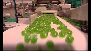 Perfetti Van Melle.mp4