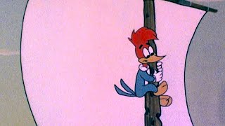 Pica-Pau | Mega Compilação Clássica Vol. 18 | Desenhos Animados Retrô Engraçados