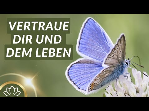 50 tägliche Affirmationen gegen Selbstzweifel & Ängste I Meditation