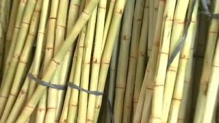 The Big Idea - Entrepreneur makes big profits selling bottled sugarcane juice.